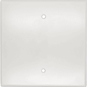Oversized Wall Plate - Blank