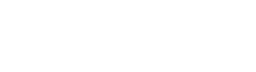 Skillflex